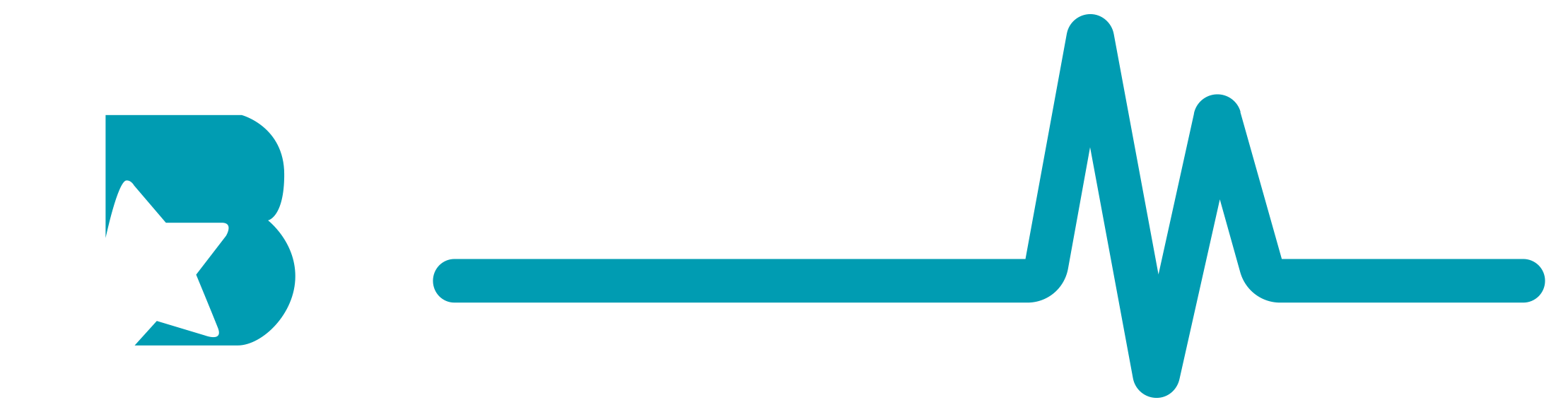 B&Reanimed Healtcare Systems